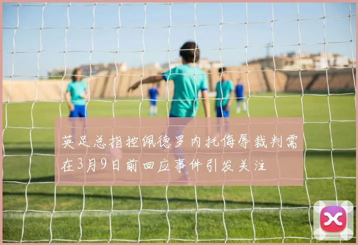 英足总指控佩德罗内托侮辱裁判需在3月9日前回应事件引发关注
